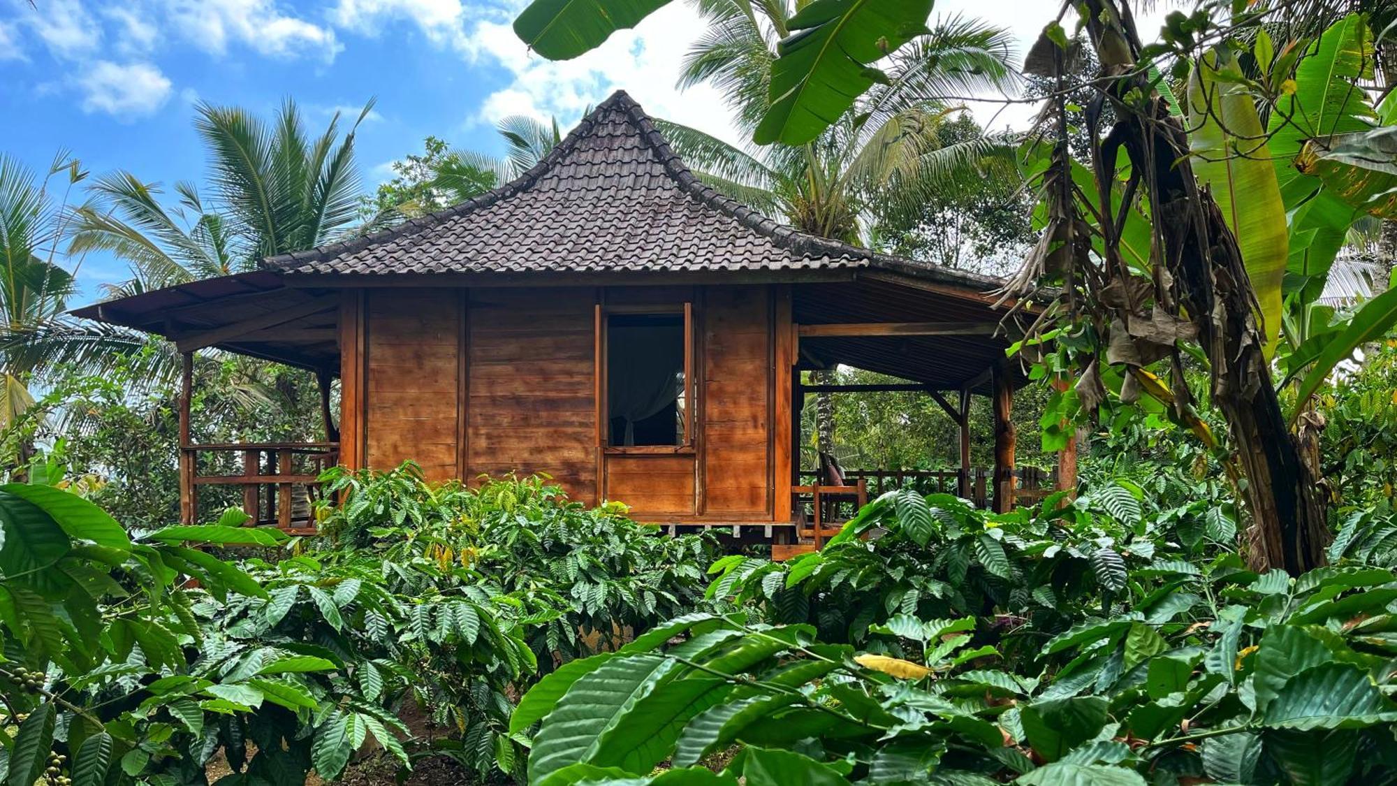 Gempinis Coffee Shop And * Blimbing (Bali)