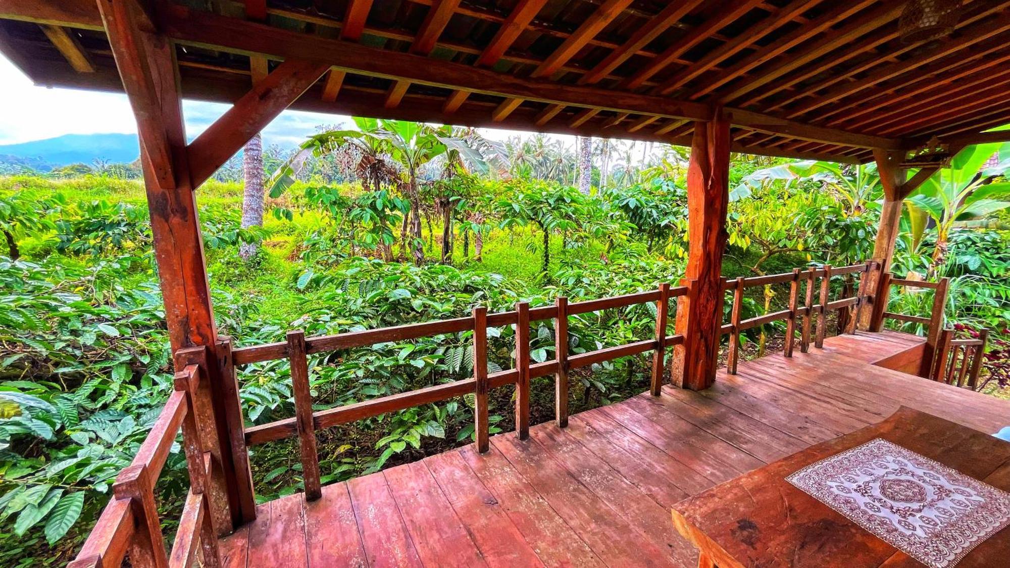 Villa Gempinis Coffee Shop And Blimbing (Bali)