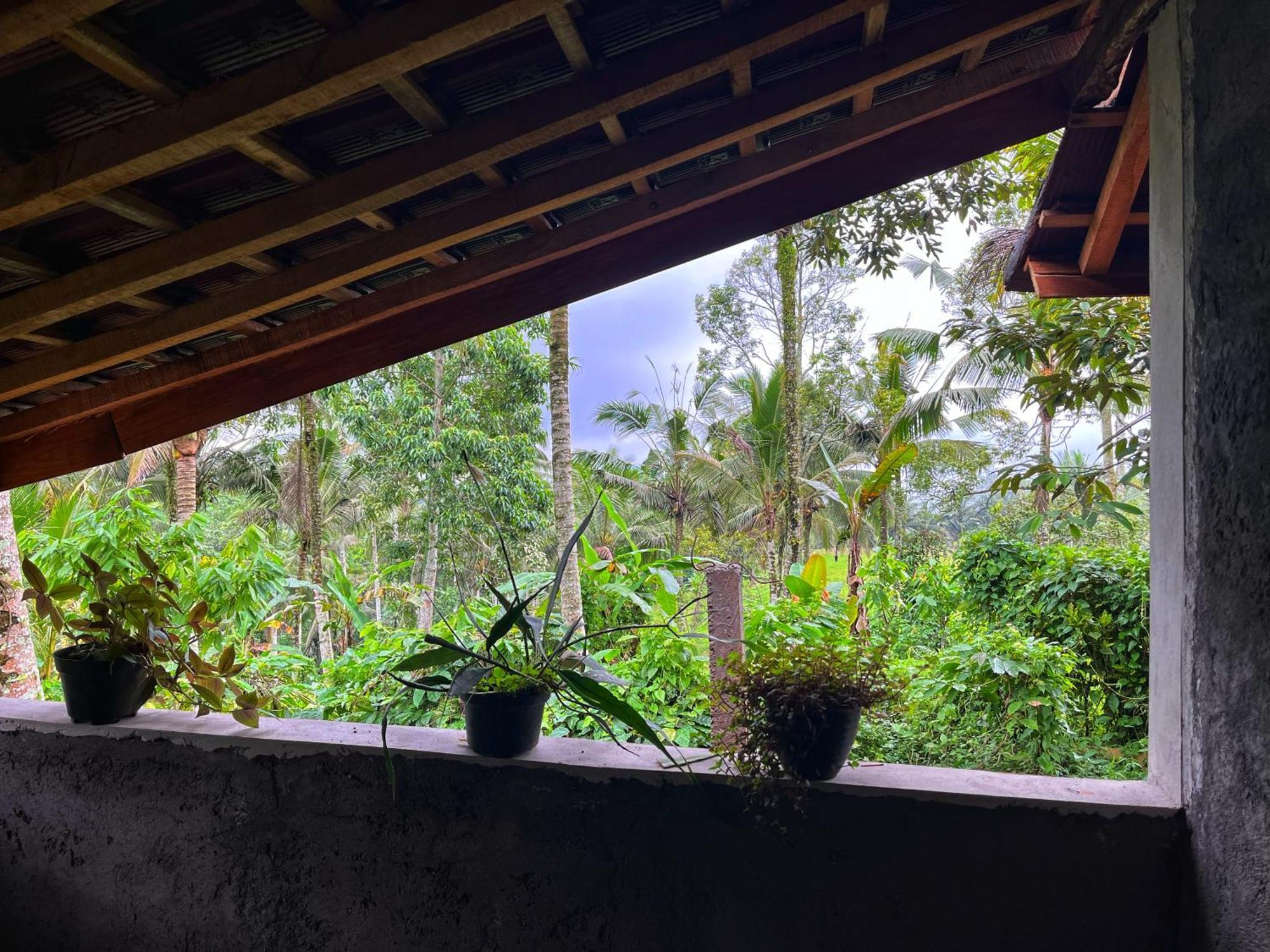Gempinis Coffee Shop And * Blimbing (Bali)